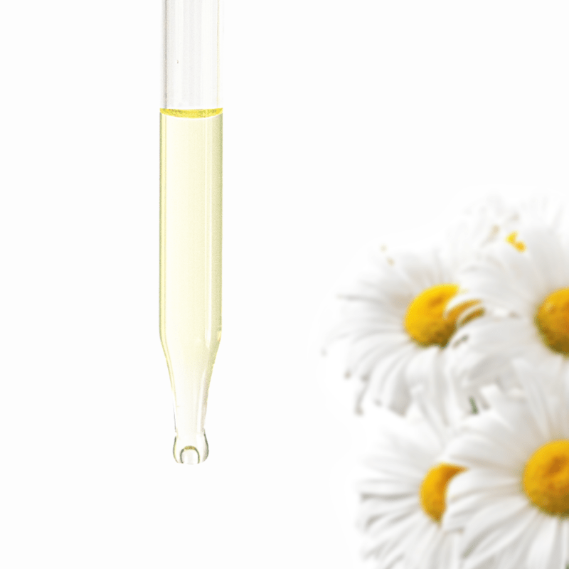 Chamomile Essential Oil