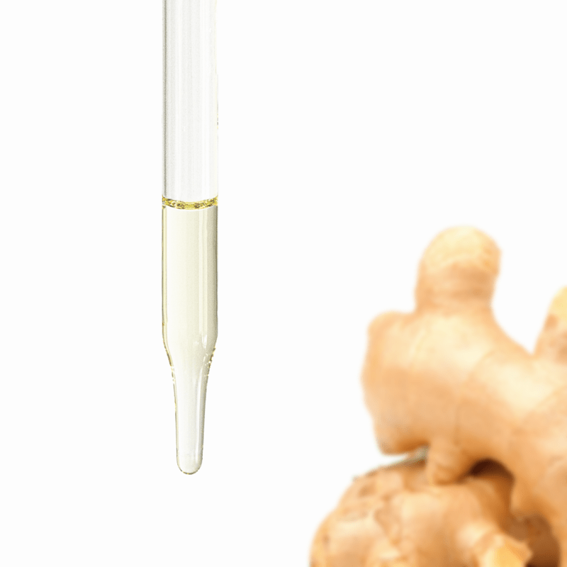 Ginger Essential Oil