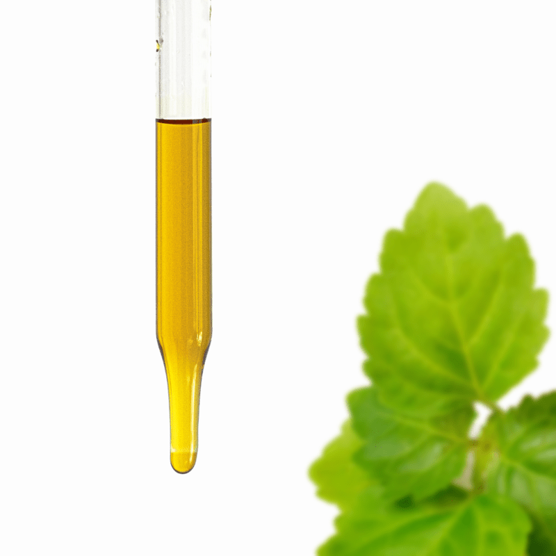 Patchouli Essential Oil