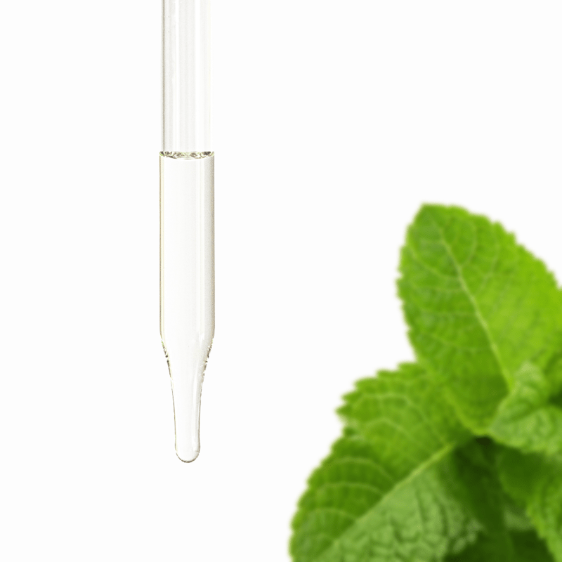 Peppermint Essential Oil