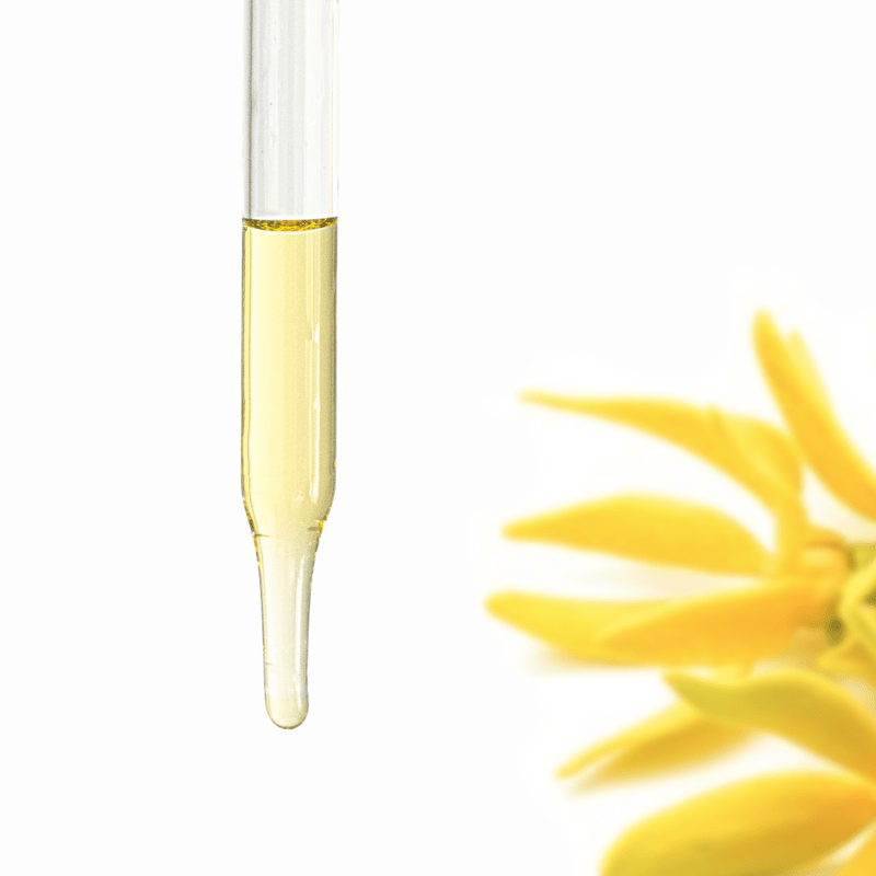 Ylang Ylang Essential Oil