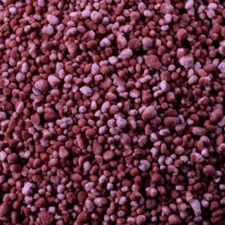 BIOGENIC MAGICBEAD-200RED