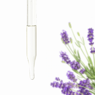 Lavender Essential Oil