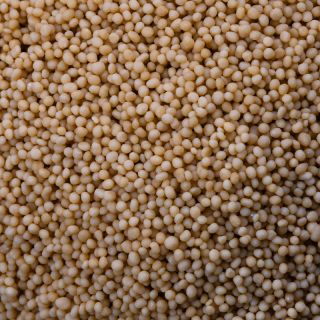 Biogenic MagicBead-100COQ10/YD