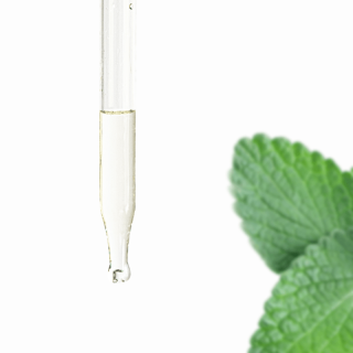 Spearmint Essential Oil